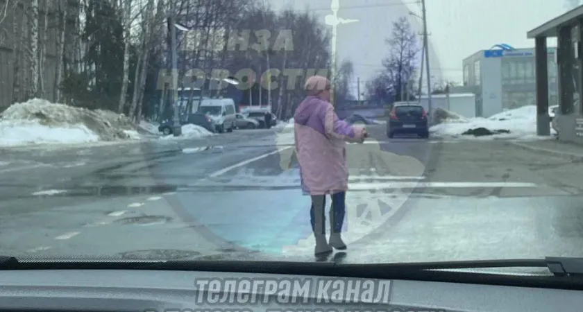 В Пензе на улице Долгова женщина стала причиной опасной ситуации на дороге