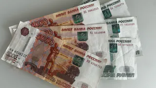 Житель Кузнецка похитил кошелек с крупной суммой денег