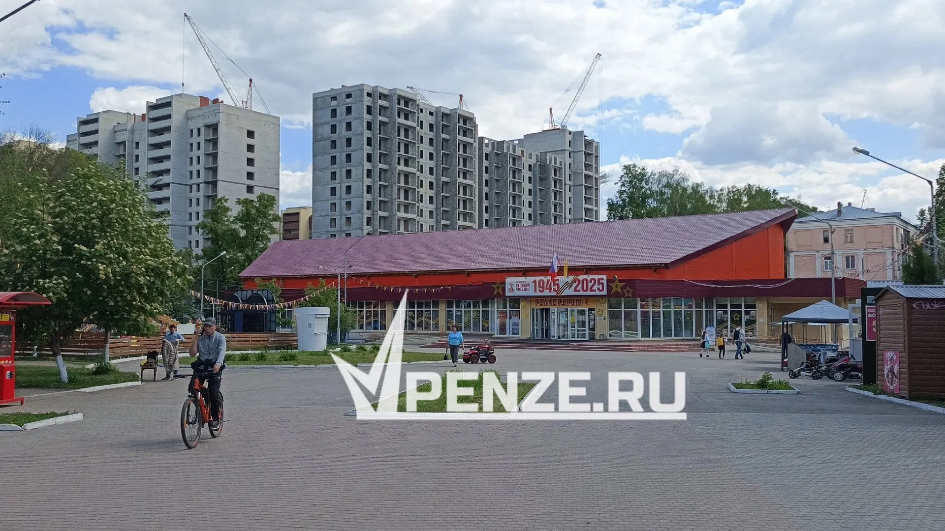 Весь город – под бензопилу? Пензенцы бьют тревогу из-за массовой гибели деревьев
