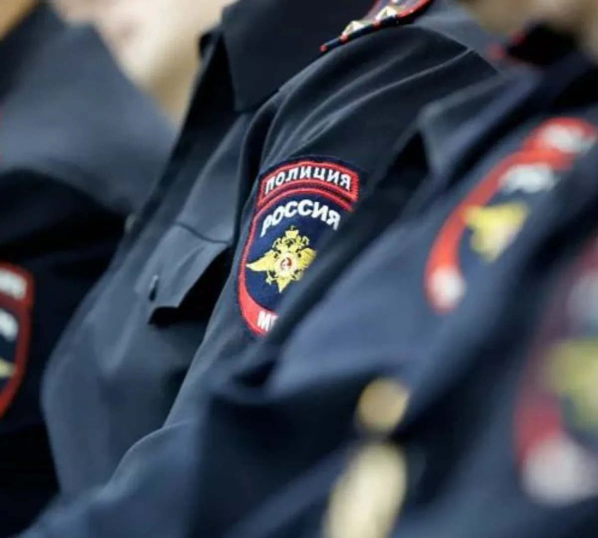 В Пензенской области полиция раскрыла более 200 экономических преступлений за год