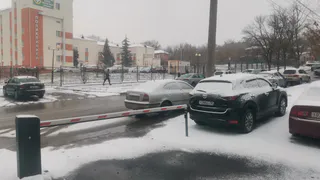 Сколько может работать двигатель на холостом ходу без вреда - запомните раз и навсегда