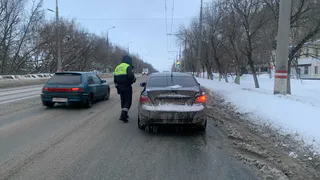 Тех, кто за рулём, предупредили: с 1 января за сбитое животное накажут так, что мало не покажется