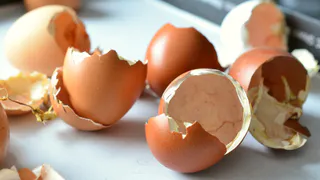 Годами использовала яичную скорлупу неправильно — ошибка, которую повторяют многие дачники