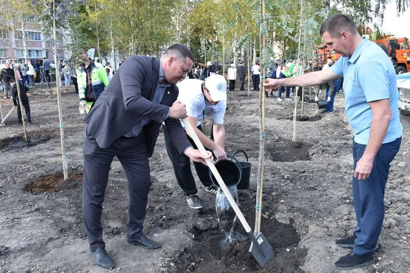 В Пензе взялись за активное озеленение города