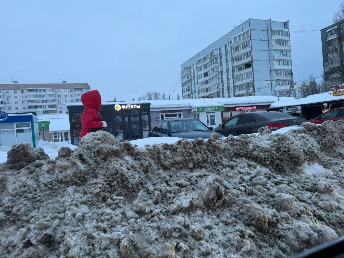 В Пензе губернатор потребовал навести порядок с уборкой снега