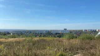 В Пензенской области почти 600 детей пострадали от укусов клещей с начала сезона
