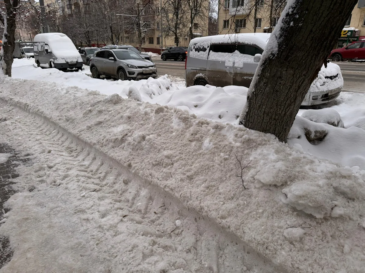 Пензенскую область накроют снегопады, а затем ударят сибирские морозы