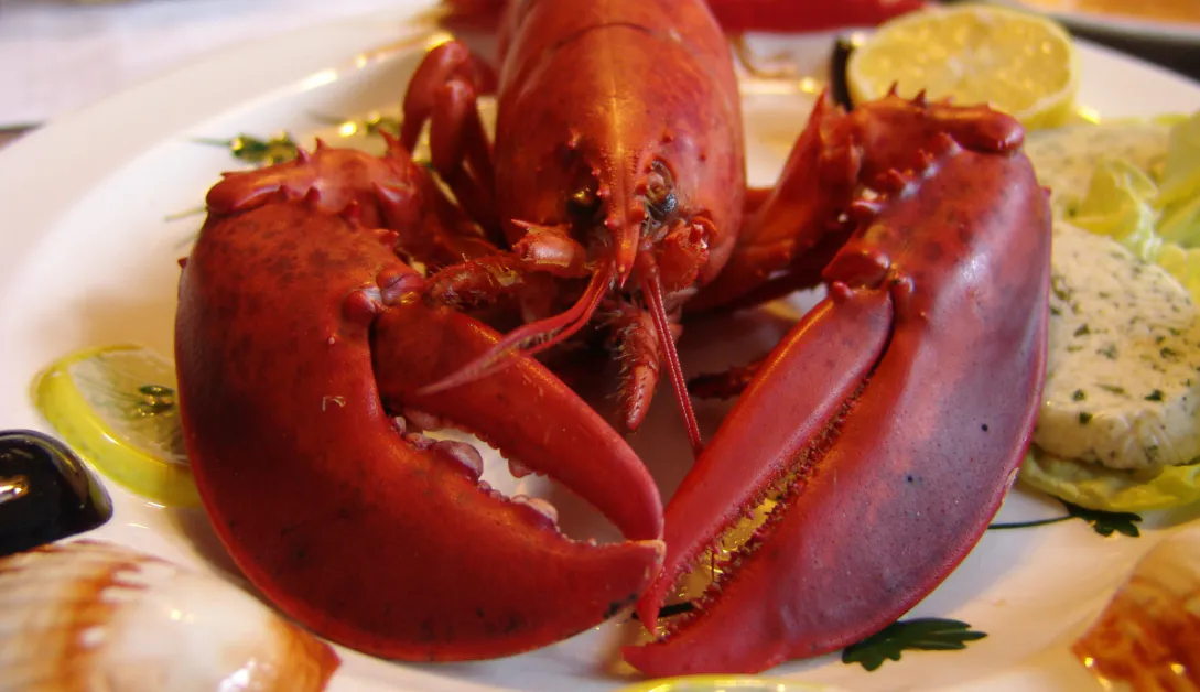 Клешни краба из Светофора: проверяю, сколько мяса внутри и делюсь честным отзывом