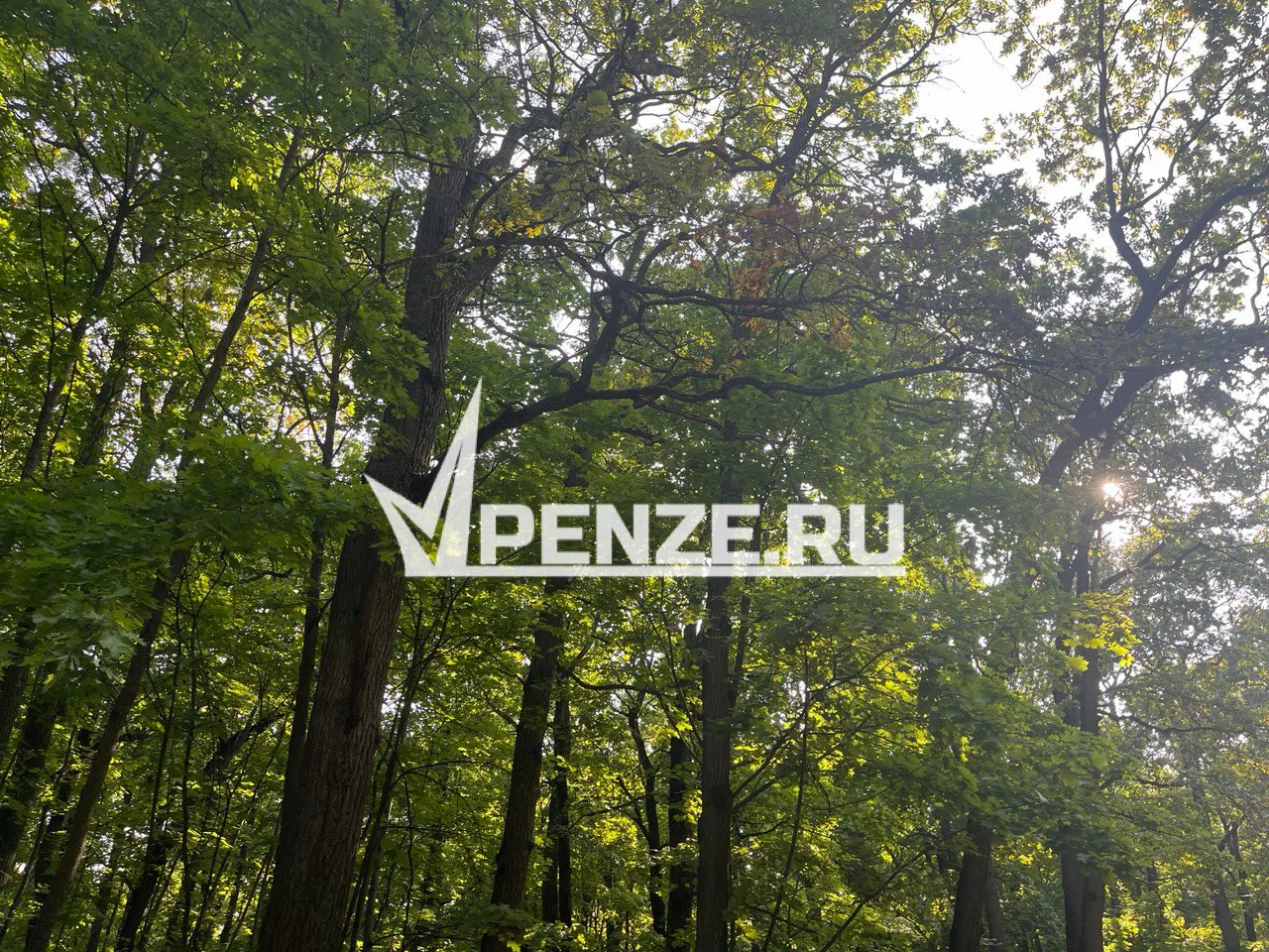 Спасатели пришли на помощь заблудившемуся подростку в Бессоновском районе