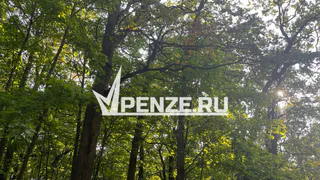 Спасатели пришли на помощь заблудившемуся подростку в Бессоновском районе