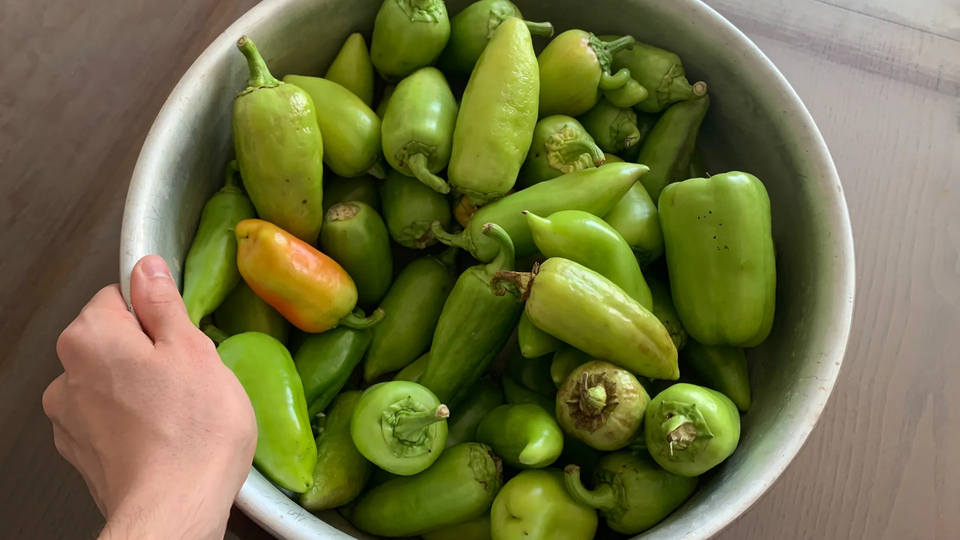 20 неприхотливых сортов-гибридов сладкого перца: вкуснейшие перцы, которые поражают своей урожайностью
