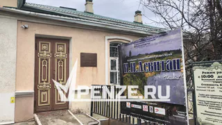 Свыше 3700 пензенцев посетили музеи города по «Пушкинской карте»
