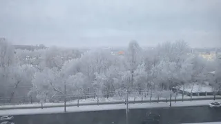 В Городище прошла XIV областная лыжная эстафета на призы Губернатора