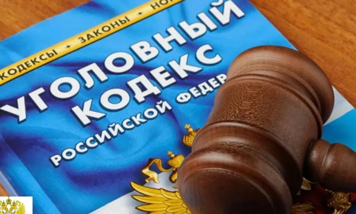 Жительница Колышлейского района получила 7,5 лет колонии за гибель больной свахи