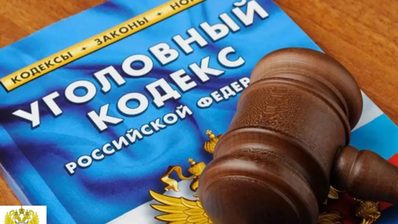 Жительница Колышлейского района получила 7,5 лет колонии за гибель больной свахи