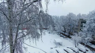 Синоптик озвучили точную дату, когда выпадет первый снег — ожидаются заморозки