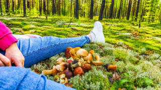 Вкуснее белых и шампиньонов: даже опытные грибники пропускают эти грибы в лесу - настоящий деликатес