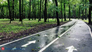 В Пензе на Олимпийской аллее хотят открыть общественный туалет