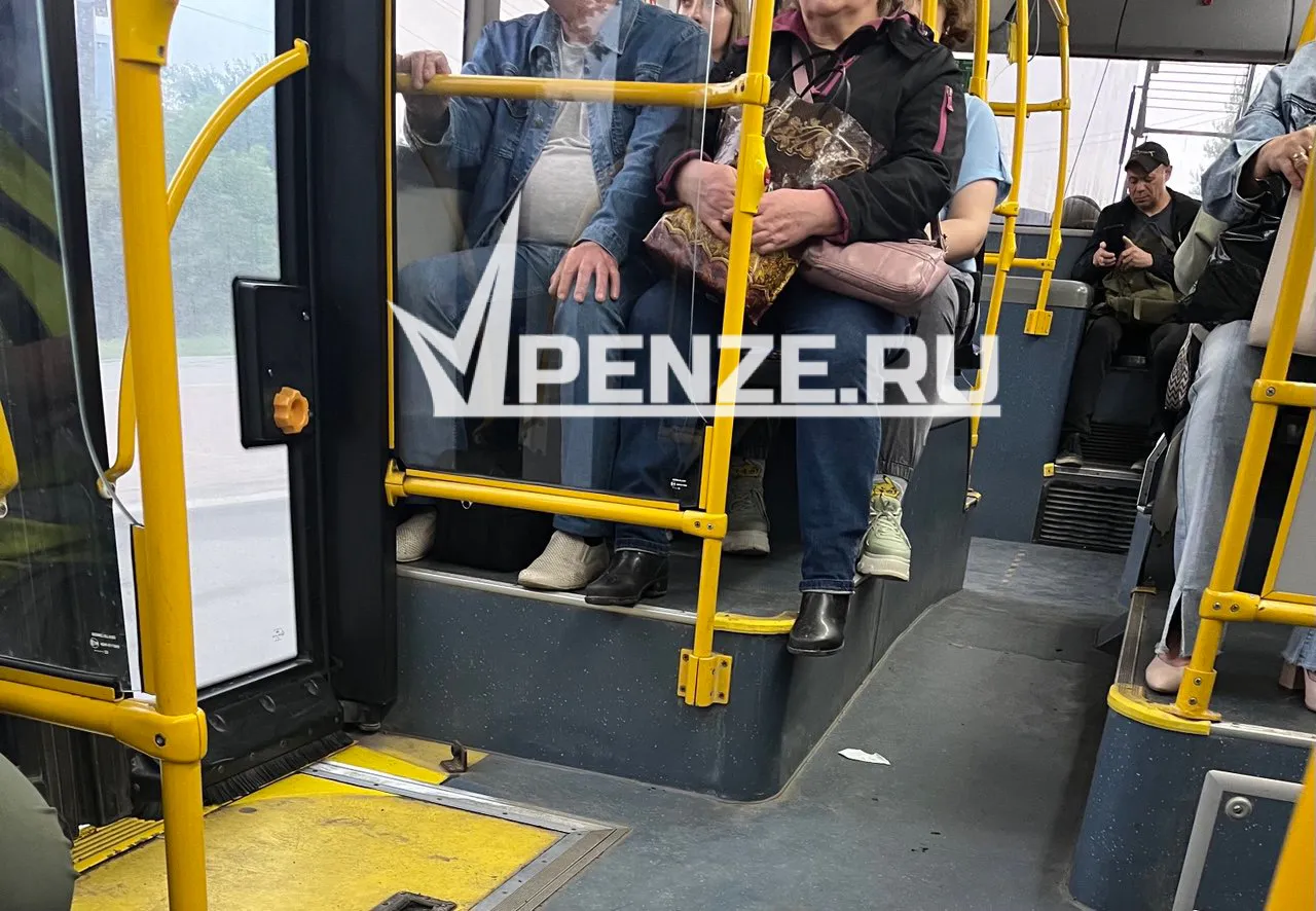 В Пензе водитель троллейбуса обматерил пассажирку, за что получил выговор