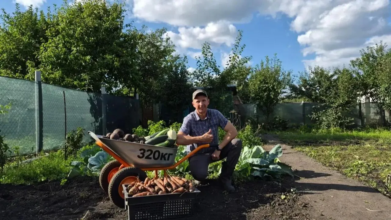 Дачный сезон удался: мэр Пензы показал, что вырастил на грядках