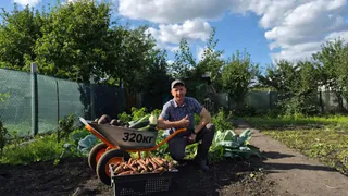 Дачный сезон удался: мэр Пензы показал, что вырастил на грядках