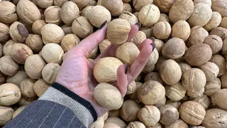 Ученые назвали самый полезный орех — это не миндаль, не арахис и в два раза полезнее грецкого