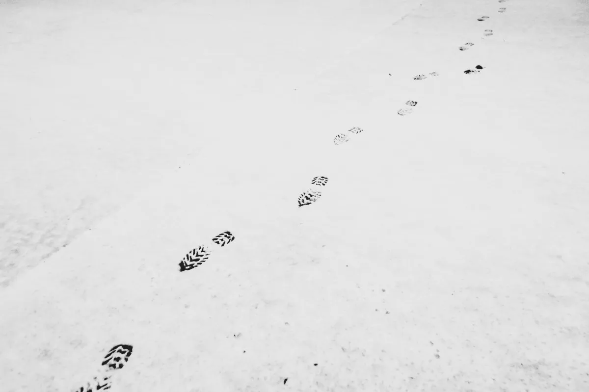 В Пензенской области полицейские задержали вора по следам на снегу