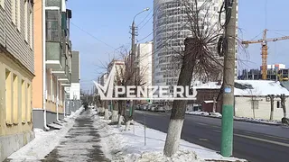 «Верните, пожалуйста, Пензе статус самого «зеленого» города!»