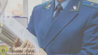 Жителя Пензы приговорили к 8 годам за финансирование терроризма
