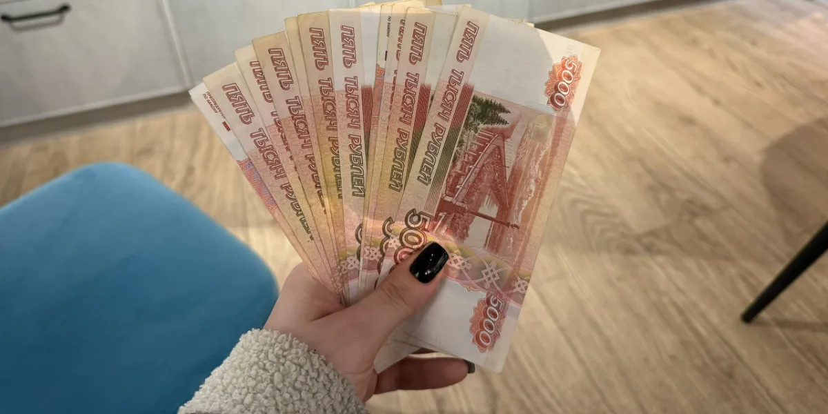 Решение кузнечанки доехать до Пензы с попутчиком обернулось потерей денег