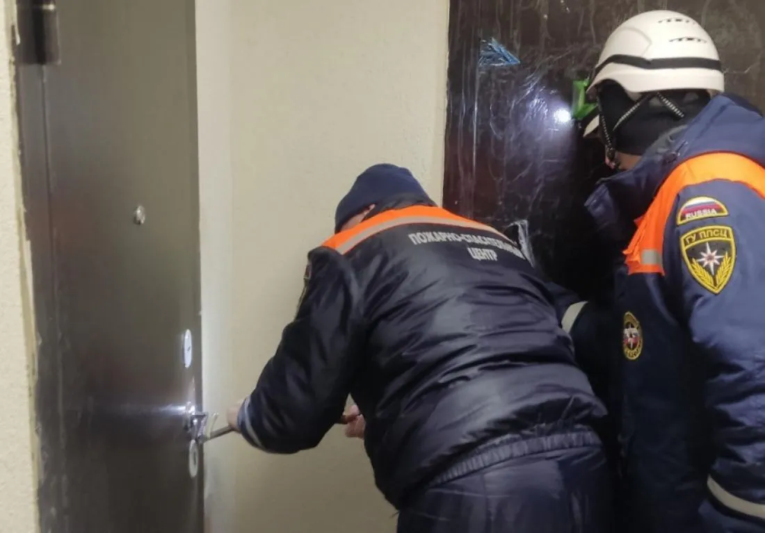 Пензенские спасатели помогли пенсионерке получить неотложную помощь