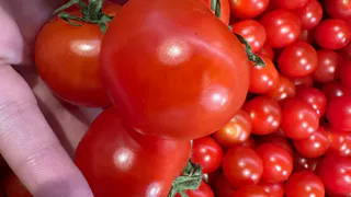 Знакомый узбек на рынке подсказал, как выбрать самые вкусные помидоры — сначала отшучивался, а потом раскрыл секрет