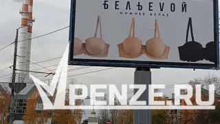 «Этот позор нужно немедленно снять!»: пензячку возмутила реклама нижнего белья на Западной Поляне