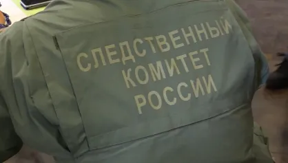 В с. Вадинск девочка пострадала, поскользнувшись на льду