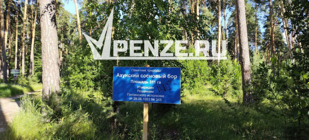 Это небольшая, но победа! Минлесхоз аннулировал торги на вырубку защитных участков под лесозаготовки