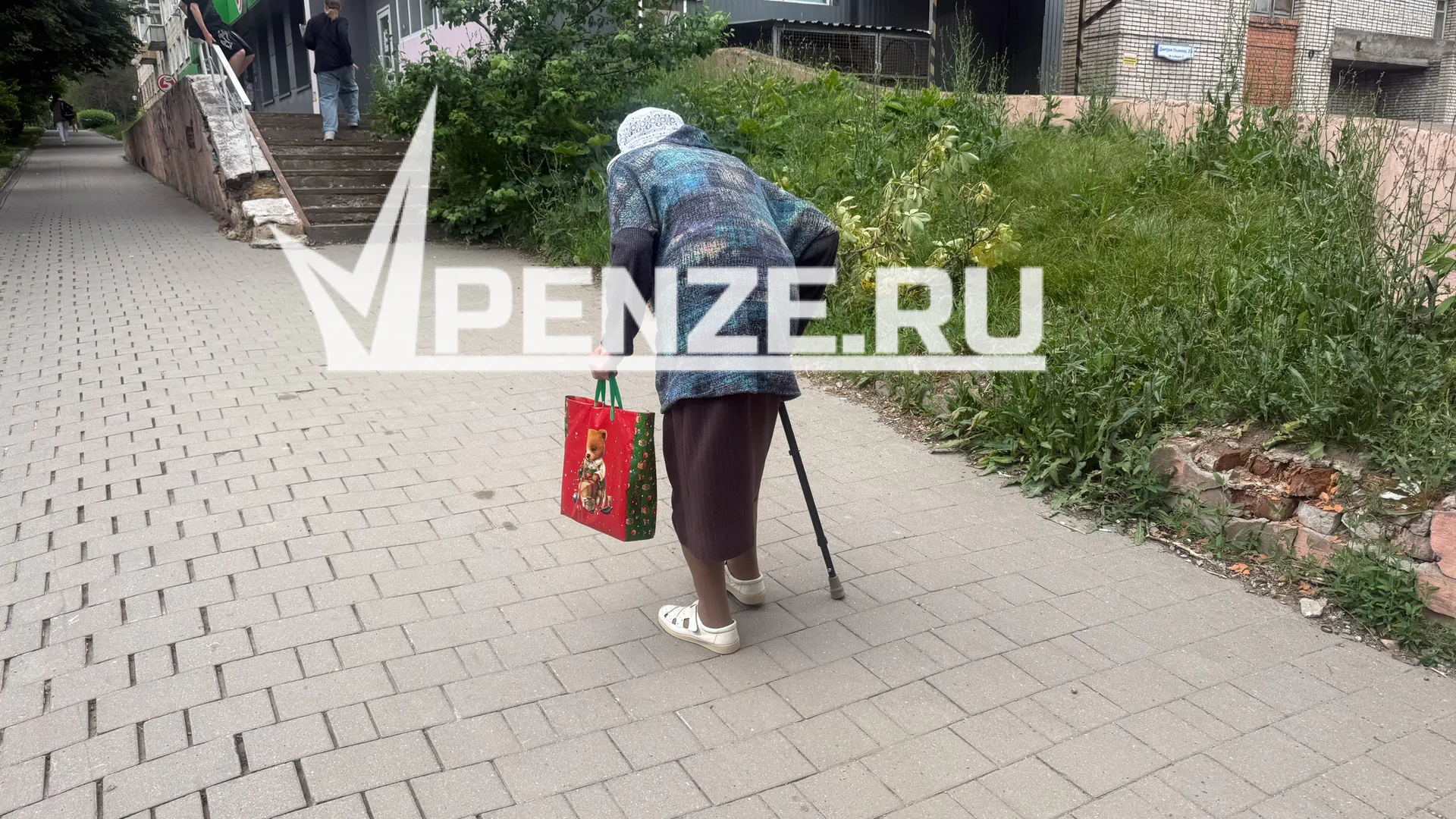 Житель Липецкой области вырвал из рук 70-летней пензячки 10 млн рублей