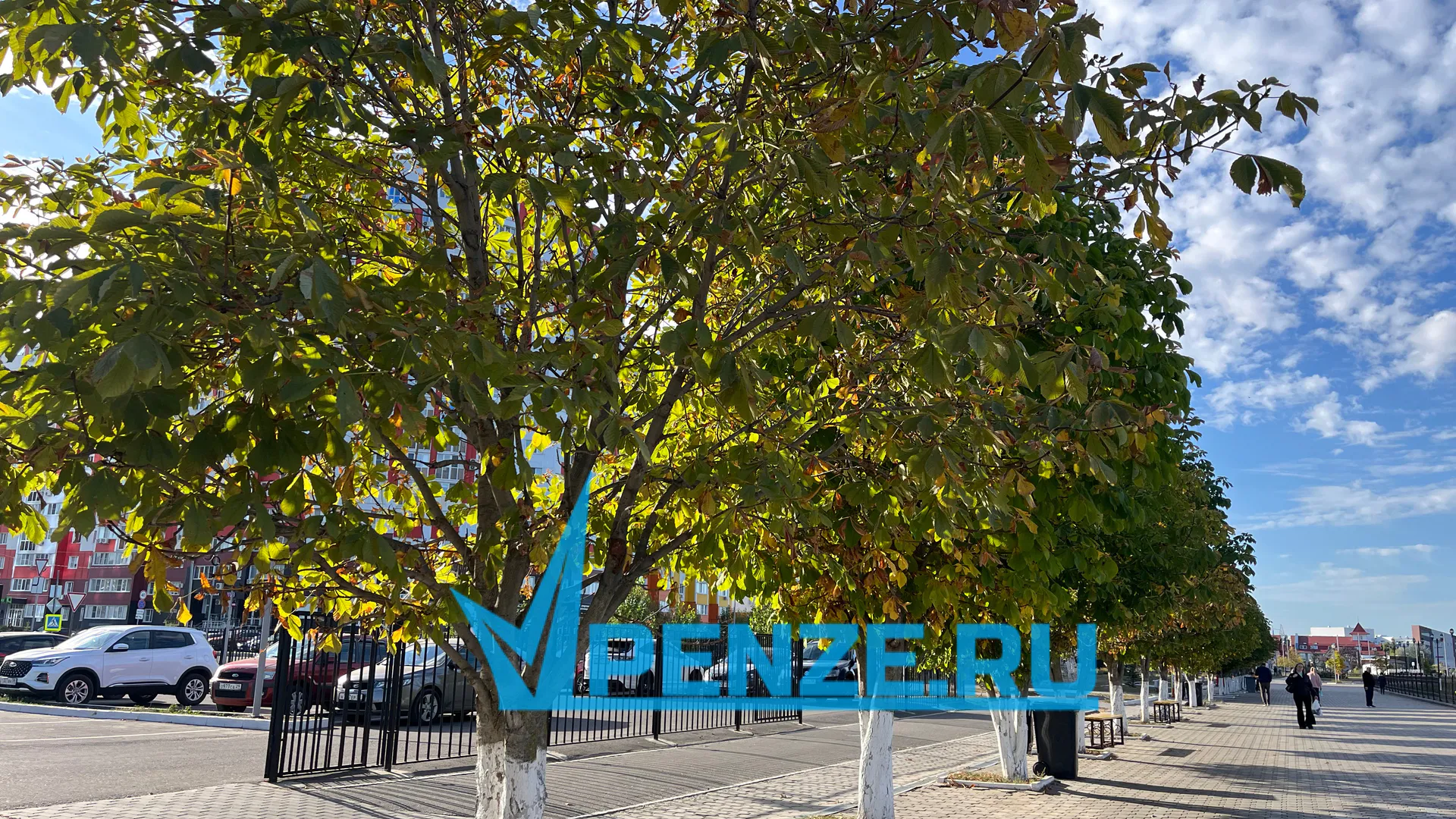 В Пензенской области отмечается всплеск аболеваемости ОРВИ