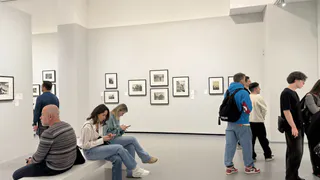 Были названы 4 цвета, которые носят психопаты: проверим себя и подруг?