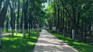 Пензенский парк Белинского откроет сезон 1 мая программой «Сквозь эпохи»