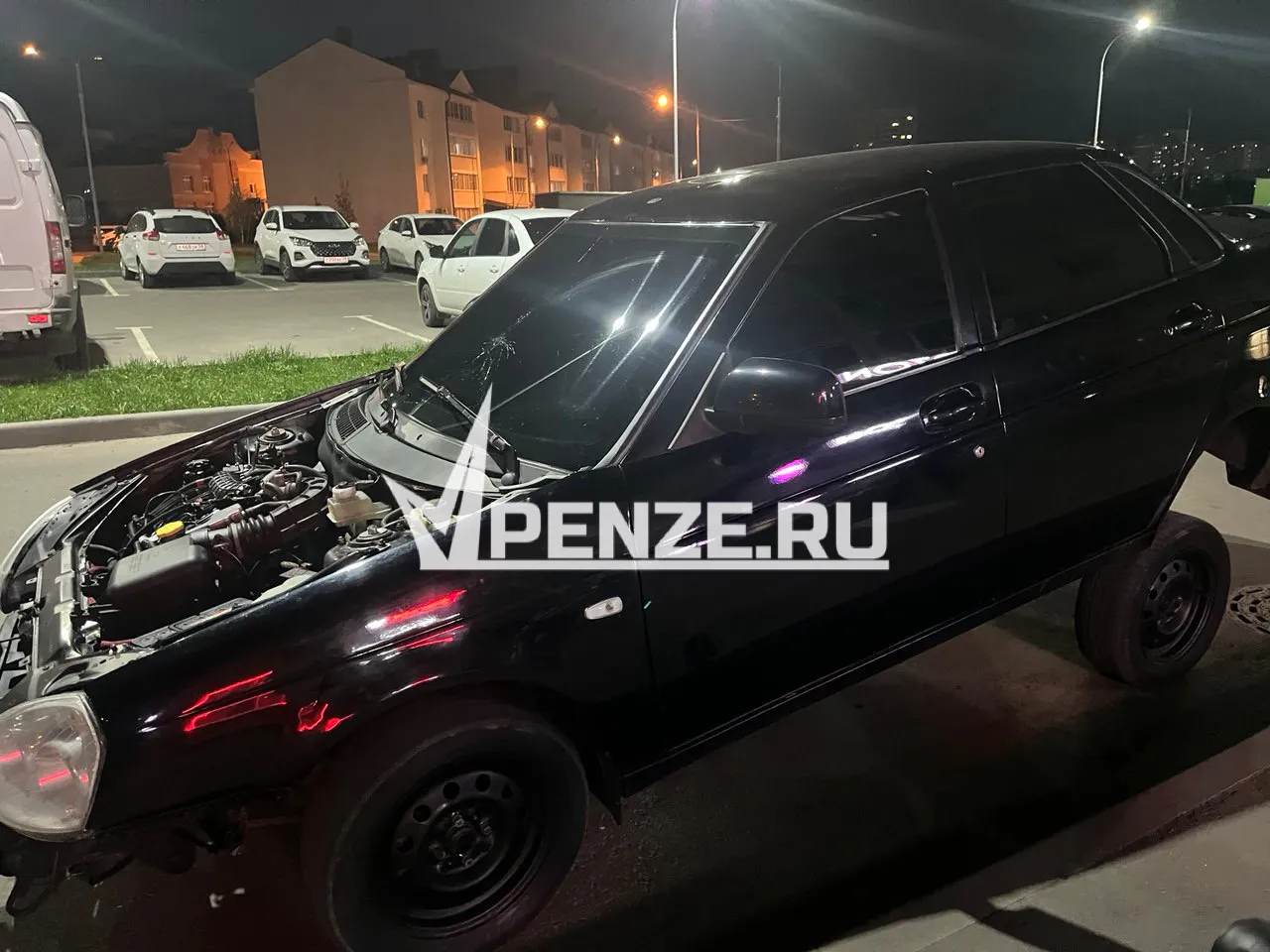 В Сердобске водитель «Гранты» переехал спящую на тротуаре собаку по кличке Туча