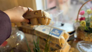 Бросаю 1 яйцо в лунку — и срываю томаты с кулак: рабочий совет для богатого урожая