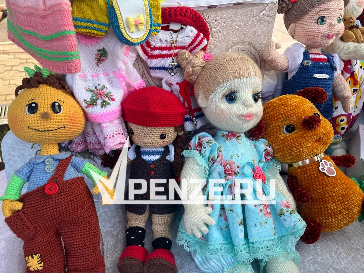 Шесть социальных нянь приступили к работе в области