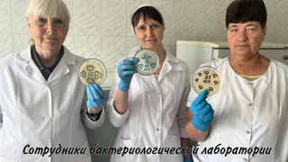 Пензенские врачи изображают новогодние рисунки с помощью стрептококка