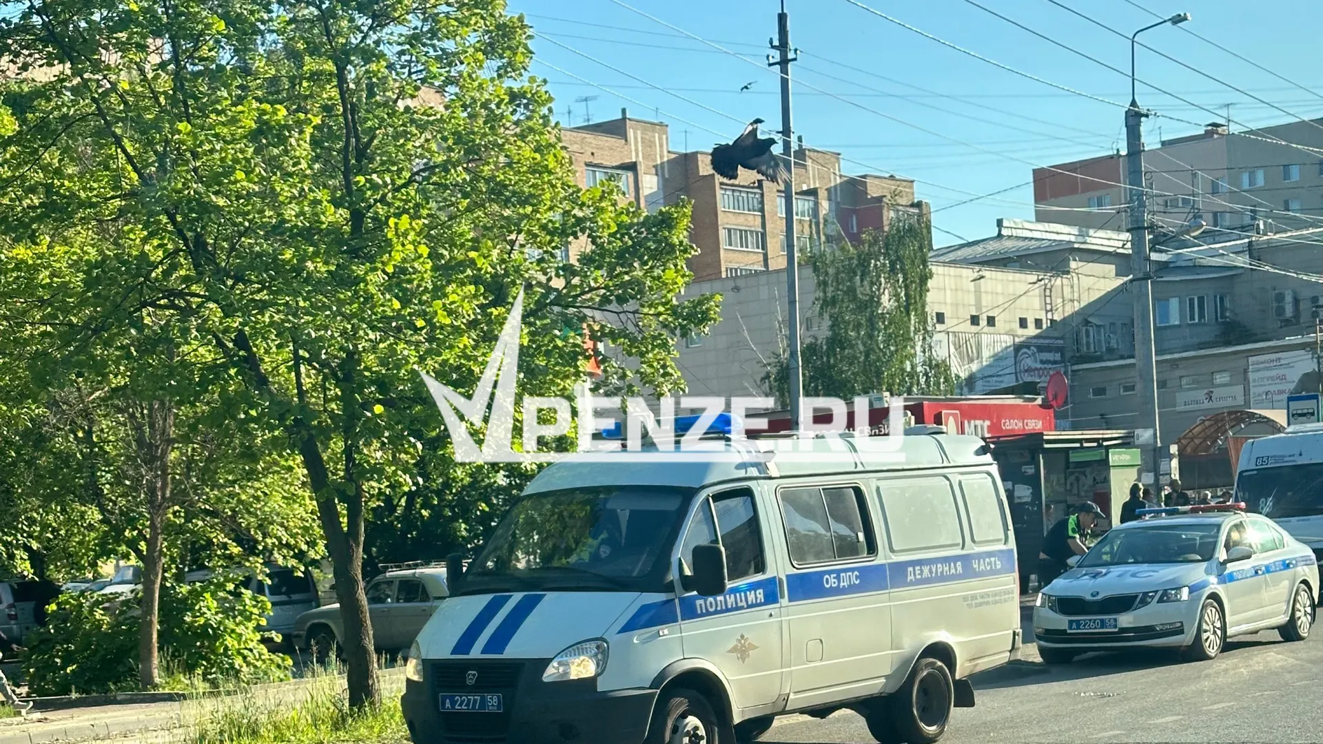 Житель Сердобского района избил битой знакомого родственницы