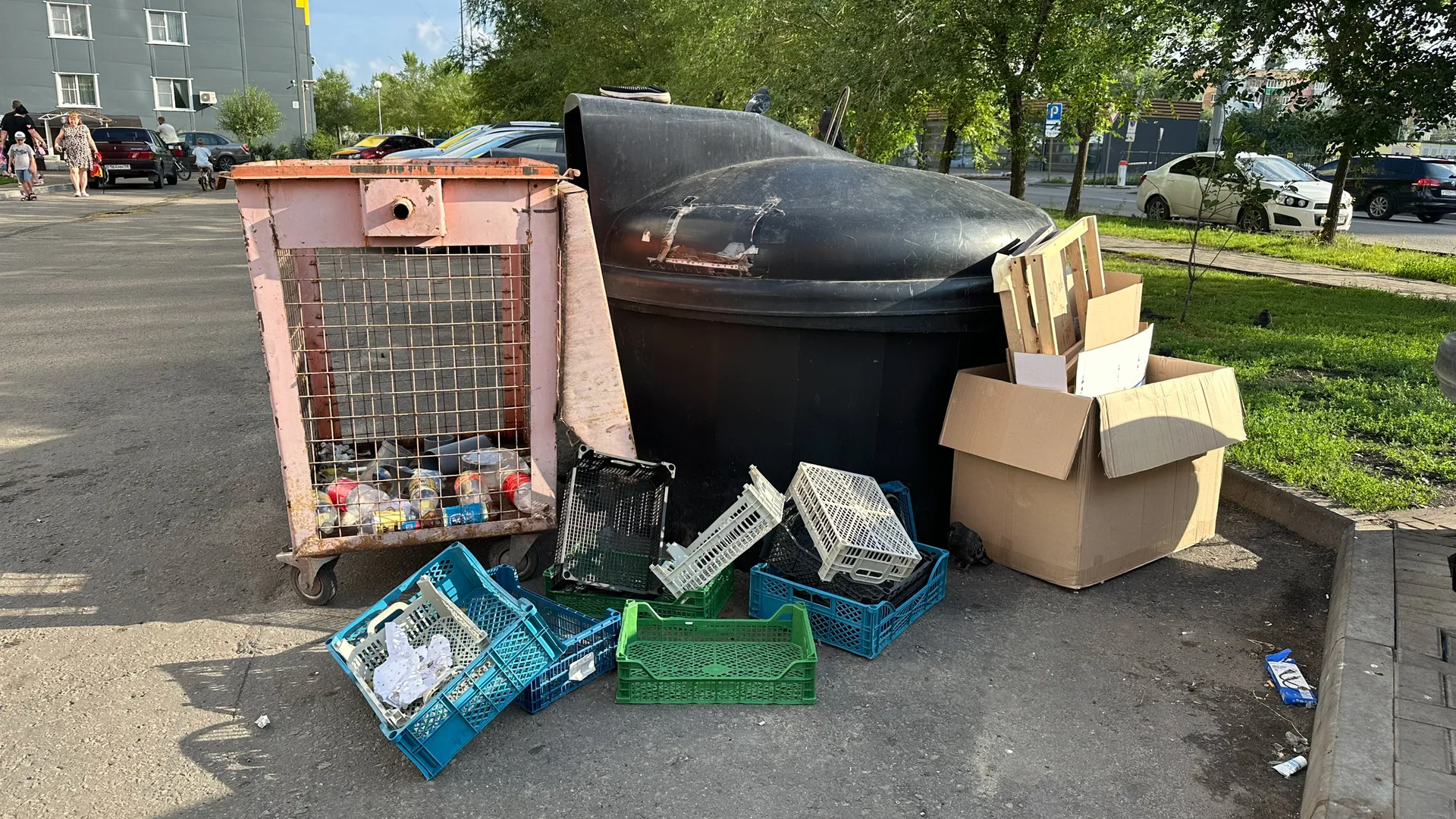 В Сосновоборском районе началась ликвидация крупной свалки
