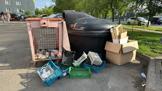 В Сосновоборском районе началась ликвидация крупной свалки