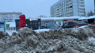 Пензенцы требуют отчеты о том, как город очищают от снежных завалов