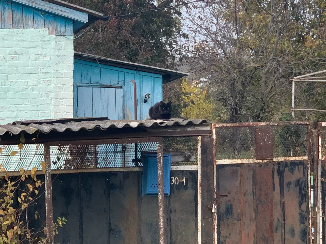 На улице Воровского в Пензе начался снос аварийного дома