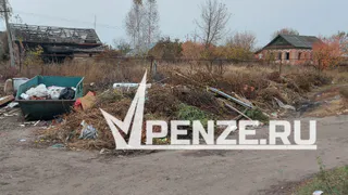 «Переводят стрелки» друг на друга, а свалка лишь растет»: жители Сердобска просят навести порядок с отравляющим жизнь мусором