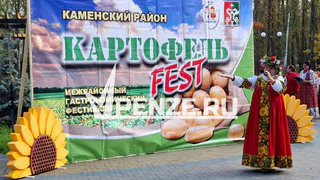 Чем запомнился главный гастрономический фестиваль «Картофель Fest» в Каменке